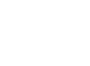 Illustration of a leaf